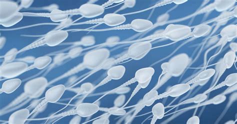 May 31, 2019 · L'éjaculation peut se comprendre à différents niveaux. Il y a diff... Après 2 vidéos sur le sperme (Ojas) et sa consistance... en voici une sur l'éjaculation... L'éjaculation peut se ... 